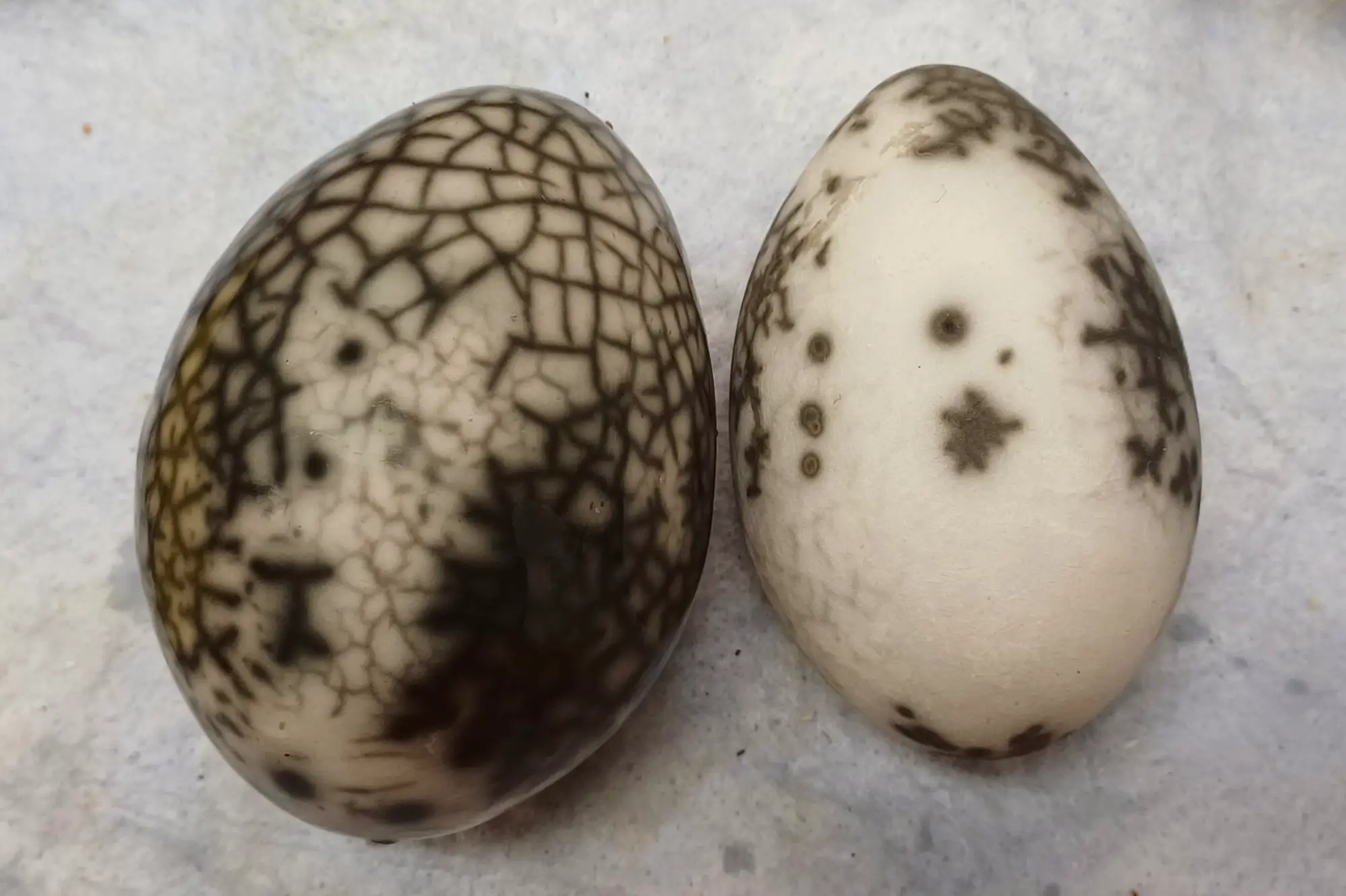 rakupoltolla tehdyt pääsiäsmunat